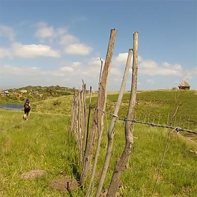 Tourists approaching a Xhosa village